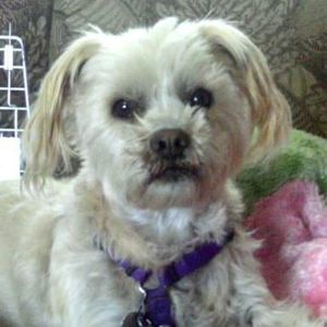 Meet your Posher, Sharon